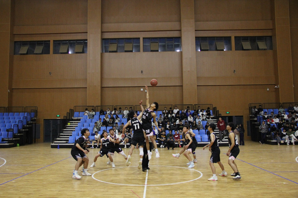 图片4