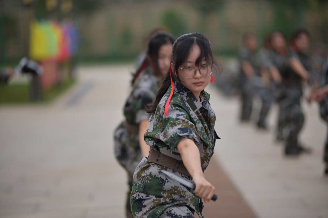 图片12